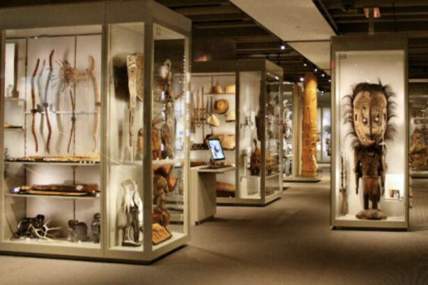 Zonal Anthropological Museum, Port Blair