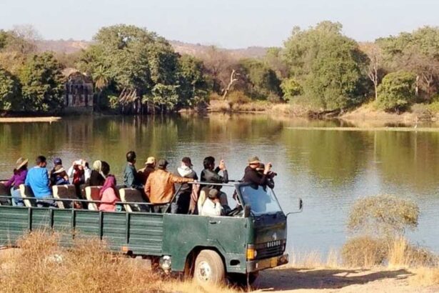 Surwal Lake, Ranthambore