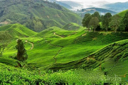 Places to Visit in Ukhrul