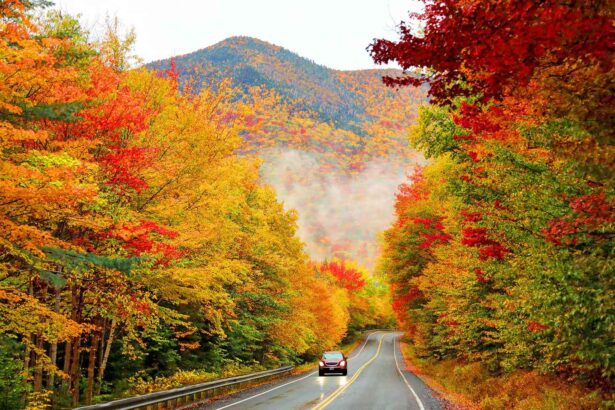 21 Best Places to See Fall Foliage in the United States
