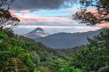 Guayabo National Monument