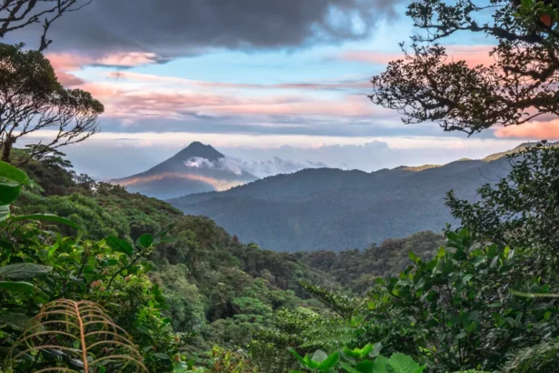 Guayabo National Monument