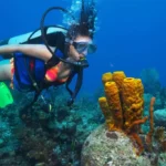 5 Scuba Diving Spots in Andaman