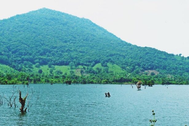Places in Maredumilli