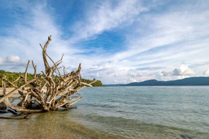 Chidiya Tapu, Port Blair