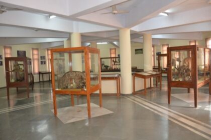 Zoological Survey of India Museum, Port Blair