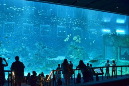 Fisheries Museum, Port Blair