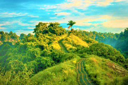 Panchavati Hills, Rangat