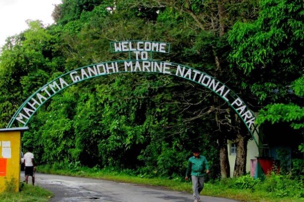 Wandur National Park, Andaman and Nicobar Islands